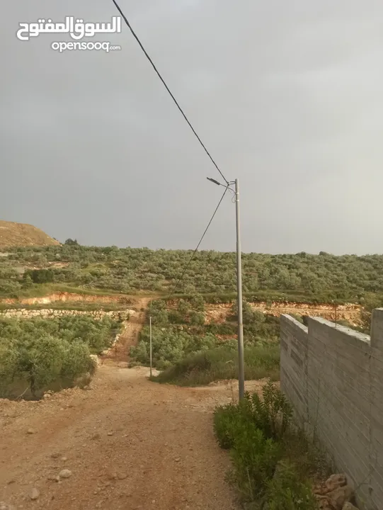 ارض للبيع منطقة جيوس قلقيلية