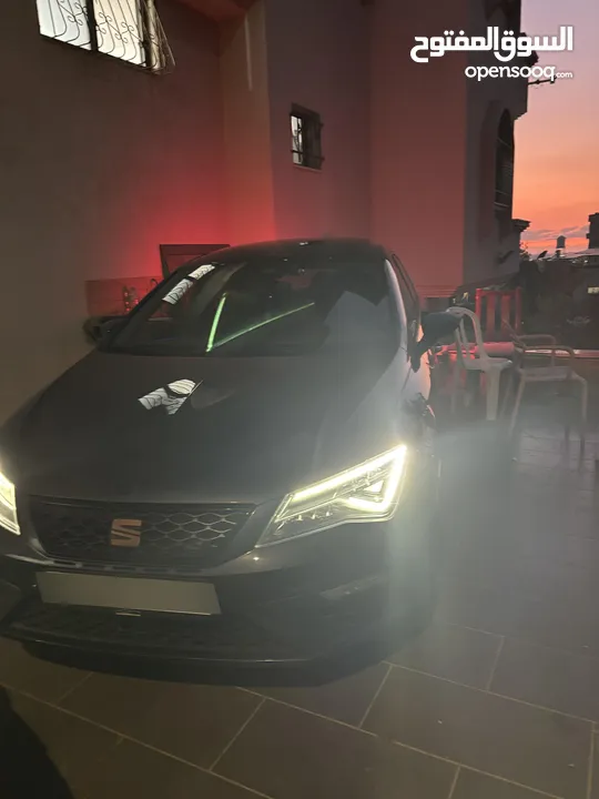 سيات كوبرا 2019