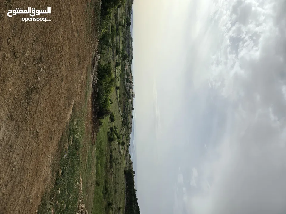 غرب سوف سهلات الغربيه قرب قصر السفير الاماراتي منطقه فلل و مزارع راقيه