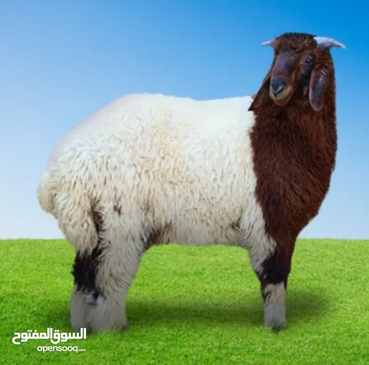 لحام متنقل