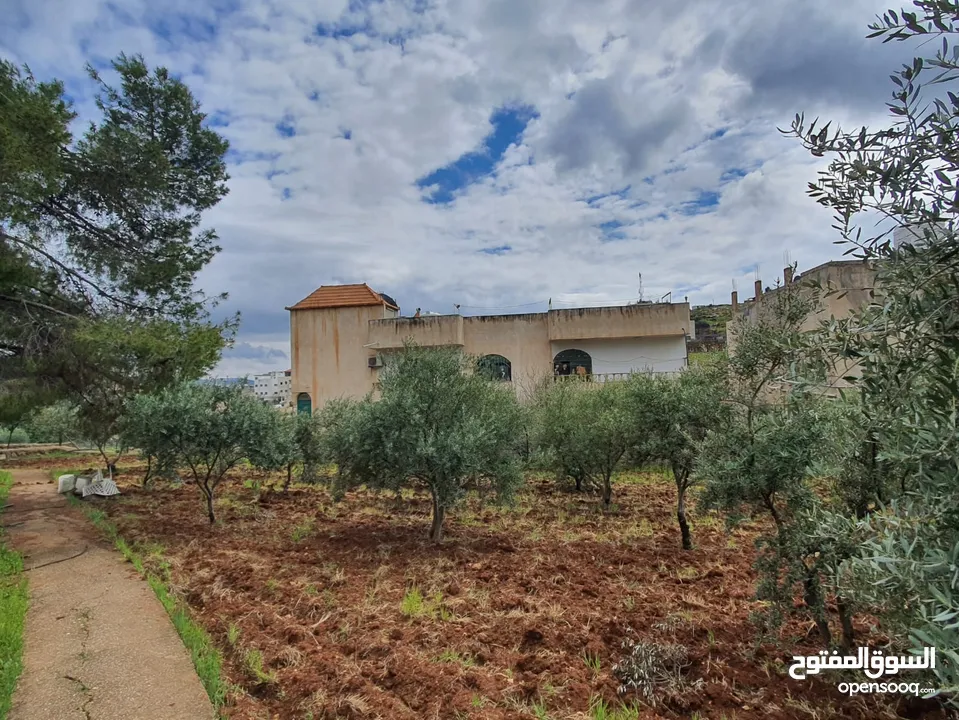 عمارة تجارية و سكنية  في جرش للبيع العمارة على شارعين    شارع رئيسي و شارع فرعي في منطقة حيوية