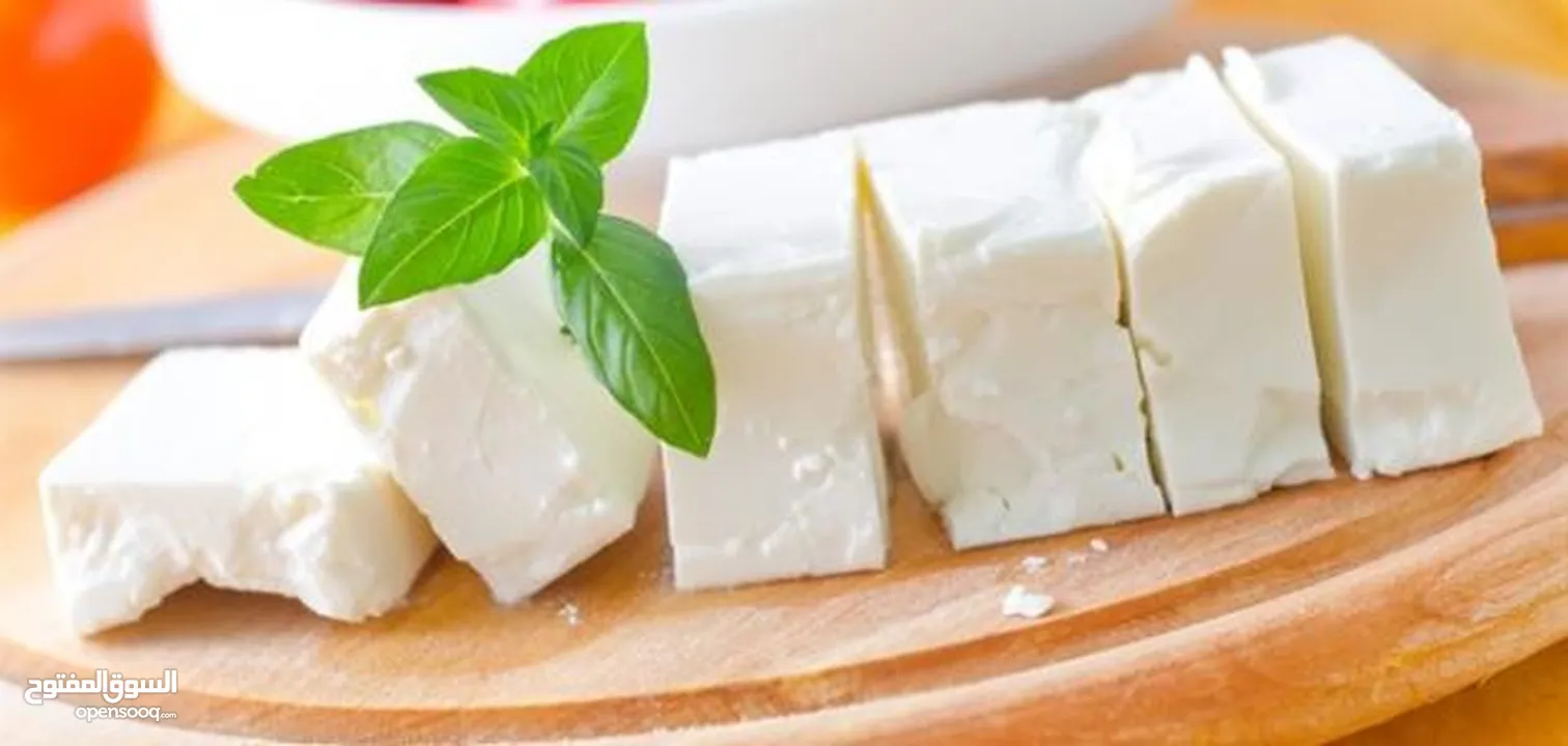 جبنة غنم مغلية