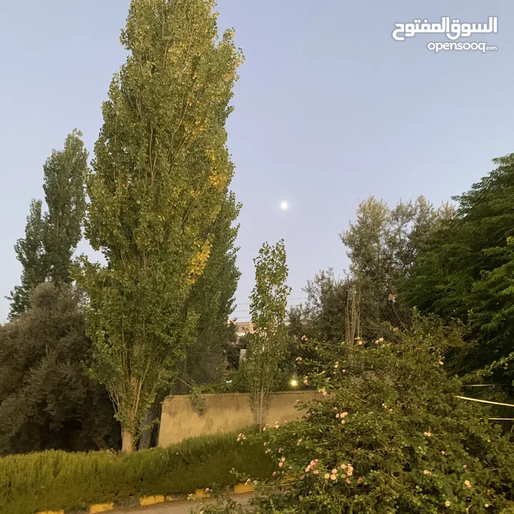 مزرعة فخمة خاصة مع فيلا دوبلكس للبيع في أرقى مناطق السلط ام جوزه ، إطلالات ساحرة وخلابة