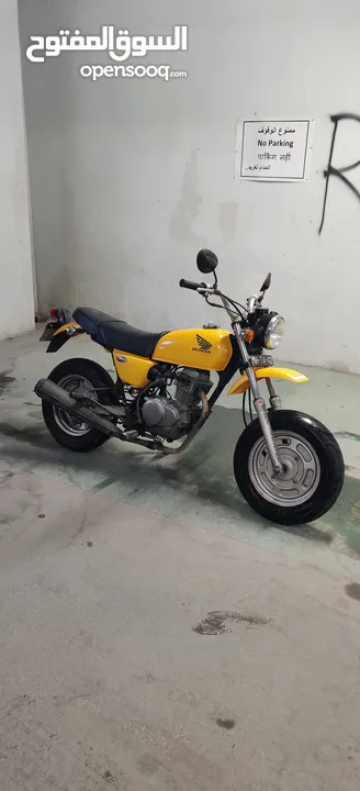 honda mini 125