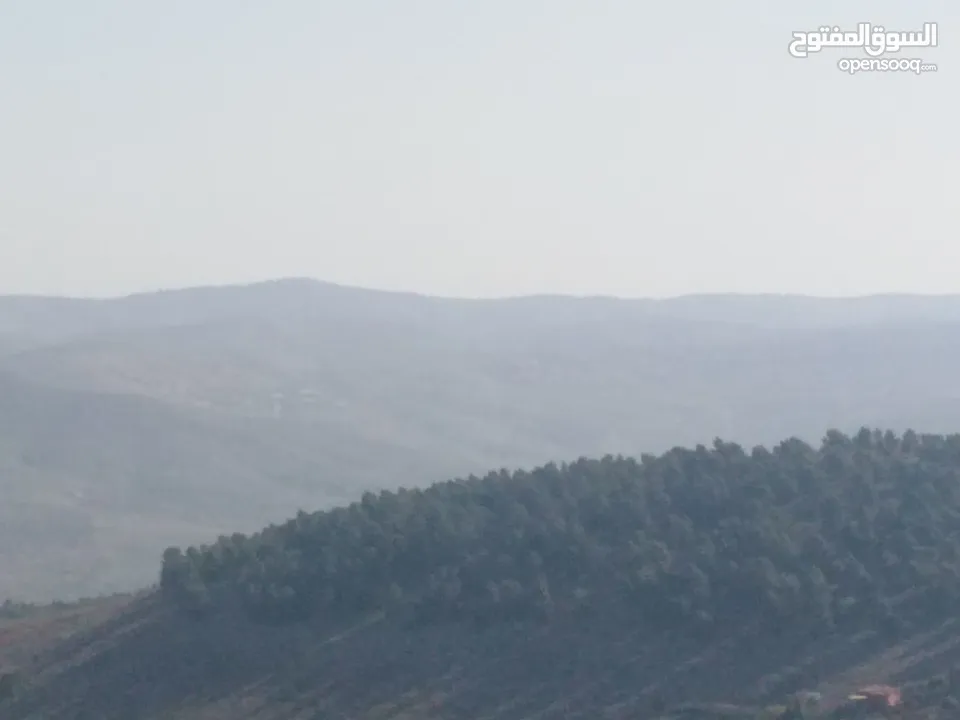 العنيبه منبسطه واصل الخدمات اطلاله رائعة  لكامل القطعه