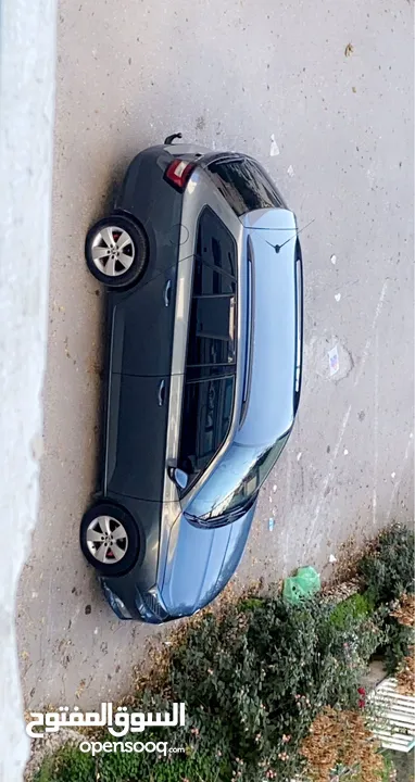 زايد شتيوي