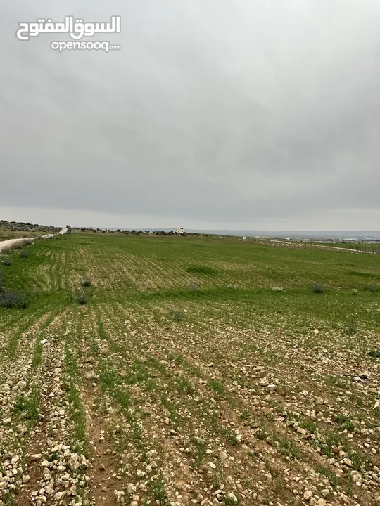 ارض مفروزه للبيع،  من المالك مباشره تصلح لعمل مزرعه