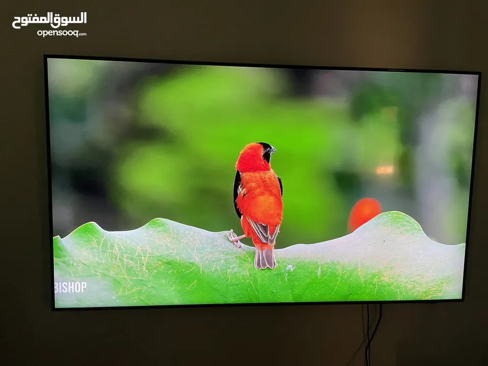 SAMSUNG 4K TV 75