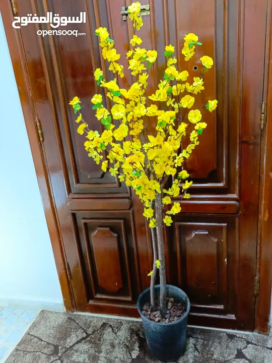 أشجار صناعي بجذع طبيعي شامل القوار