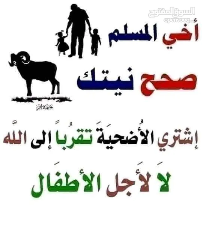 لحام متنقل ذبح أضاحي خاروف عجل بلدي جمل غنم بلدي روماني برزيلي كولمبي اسباني خروف بلدي جزار متنقل