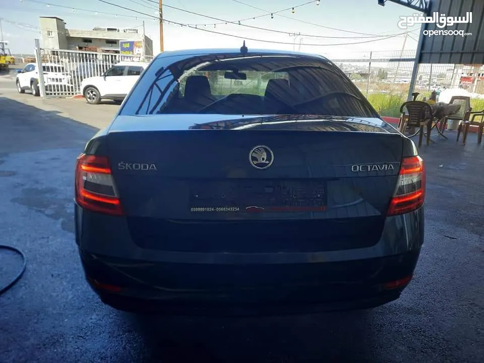 Skoda Octavia 2019 نمره مميزة ويد اولى شركةةةة لون مميز وفحص نخب بالصلاة على النبي  وإمكانية البدل