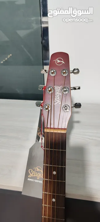 Seagull Entourage Autumn Burst Acoustic guitar – For Sale/Trade to any electronic items