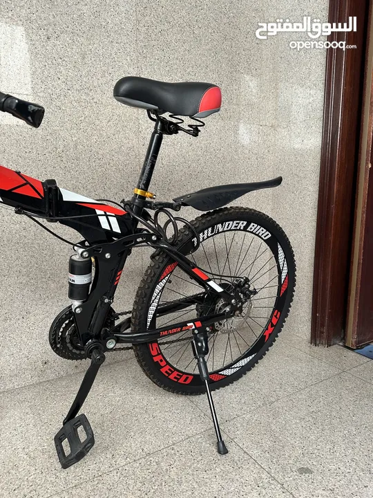 Foldable Bicycle 26’