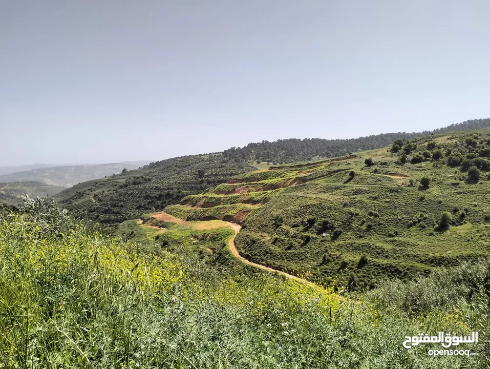 أرض مميزة جداً لعمل شاليه استثماري أو مزرعة خاصة أو مزرعة تجارية يوجد بها قناة ماء من المالك مباشرة