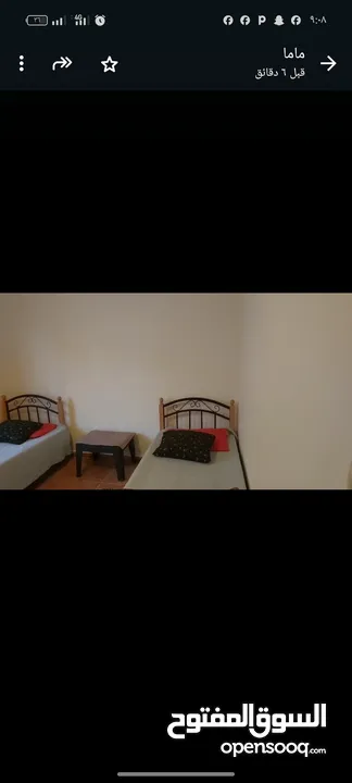 شقه مفروشه للايجار