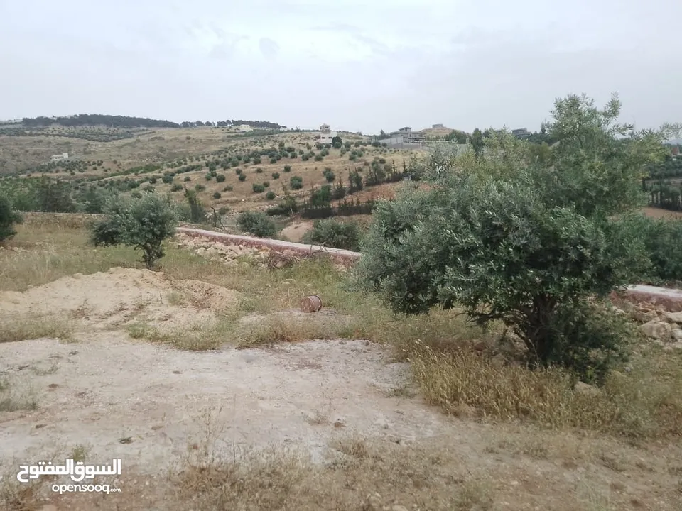 أرض ذات إطلالة خلابة في أجمل مناطق جرش