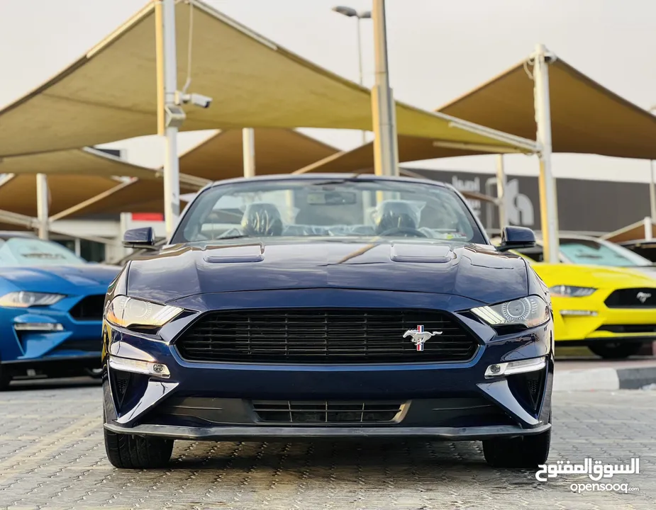 FORD MUSTANG ECOBOOST CONVERTIBLE