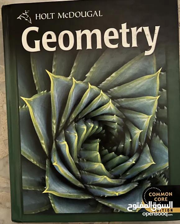 Geometry Holt McDougal common core book.