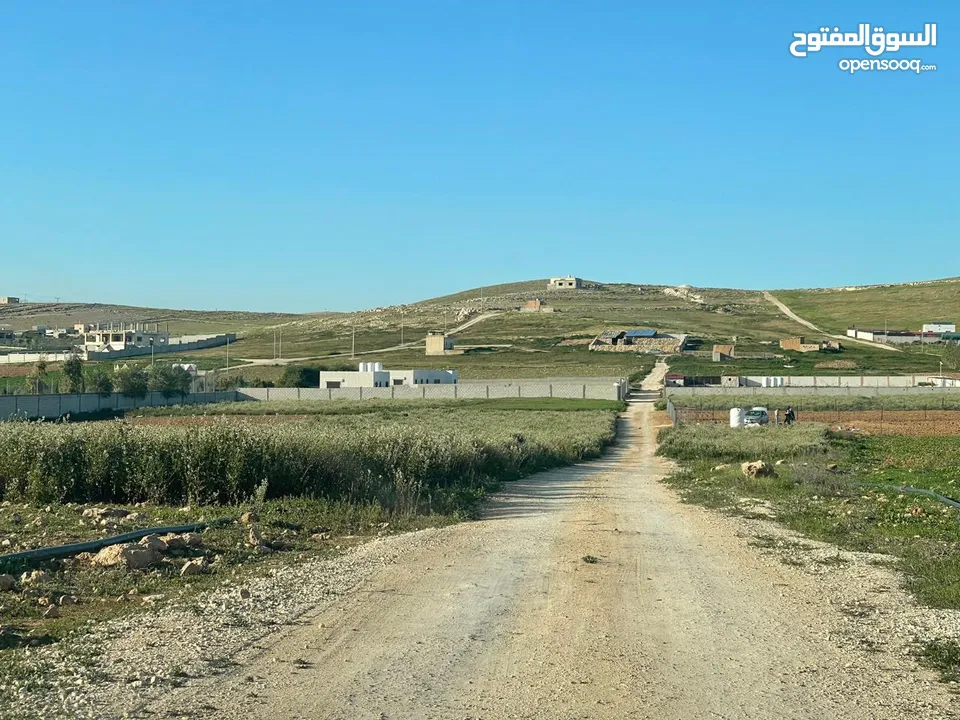 ارض زراعية في بلعما للبيع مساحتها 3500 متر