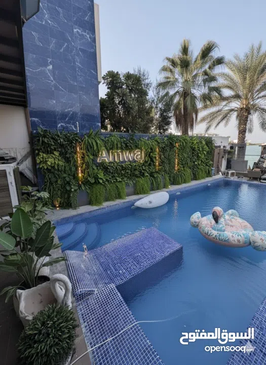 swimming pool maintenance work cleaning electric and plumbing