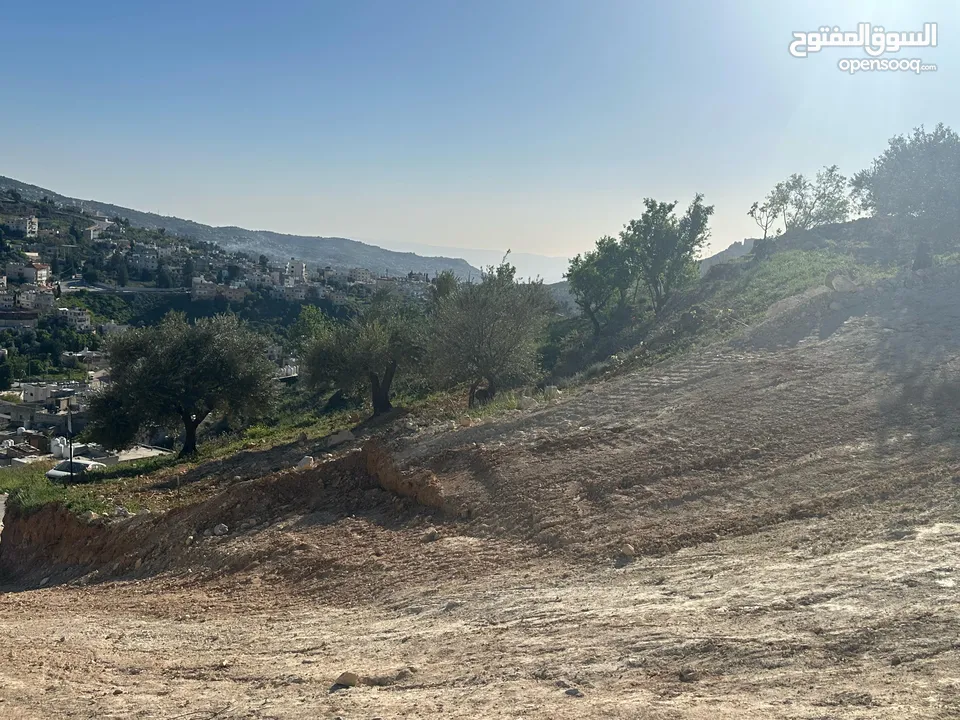 قطع سكنيه (سكن ج ) منطقه(عين جنا/ عجلون) وسط البلد،مرتفعه واطلاله جميلة على القلعة واصل جميع الخدمات