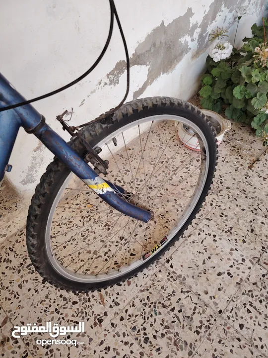 بسكليت جنط 26 جنزير فرك بسعر طري