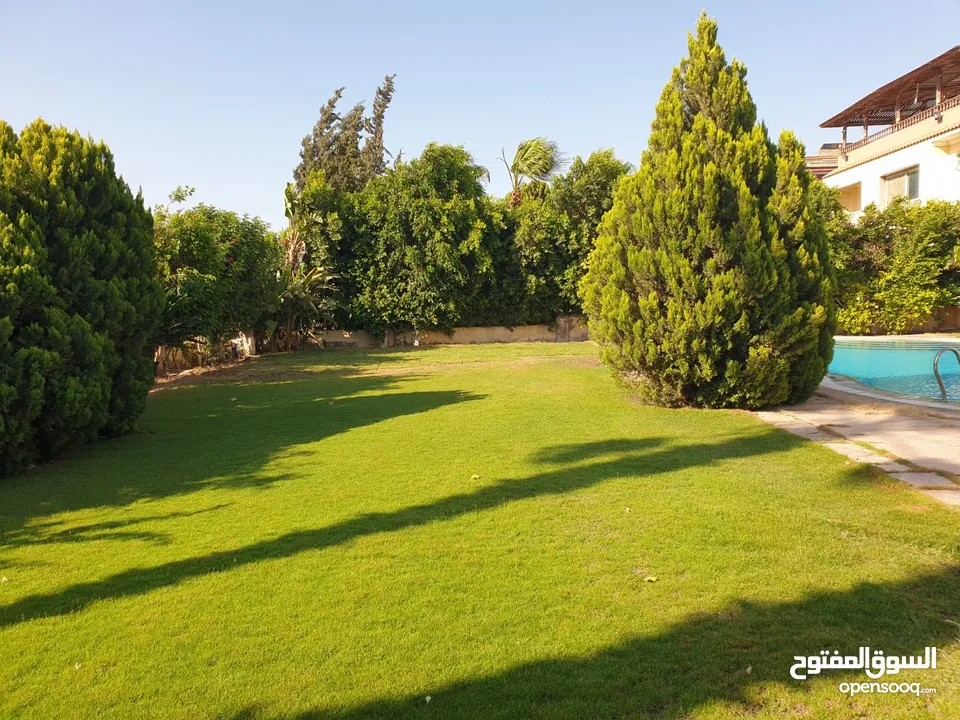 Villa 1100m Superlux For sale Pool Elevator new zayed Compound  نيو زايد فيلا للبيع لقطة