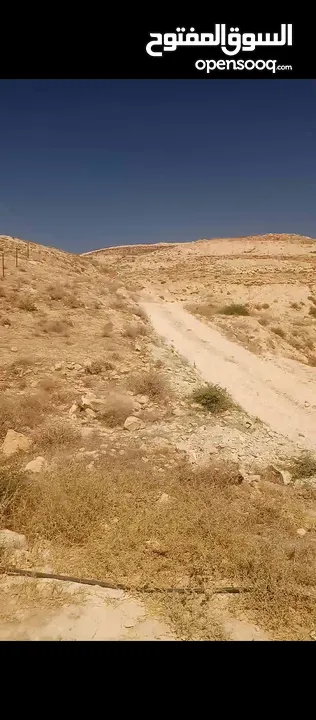 ارض للبيع في الشواورة المساحة 800 متر مربع