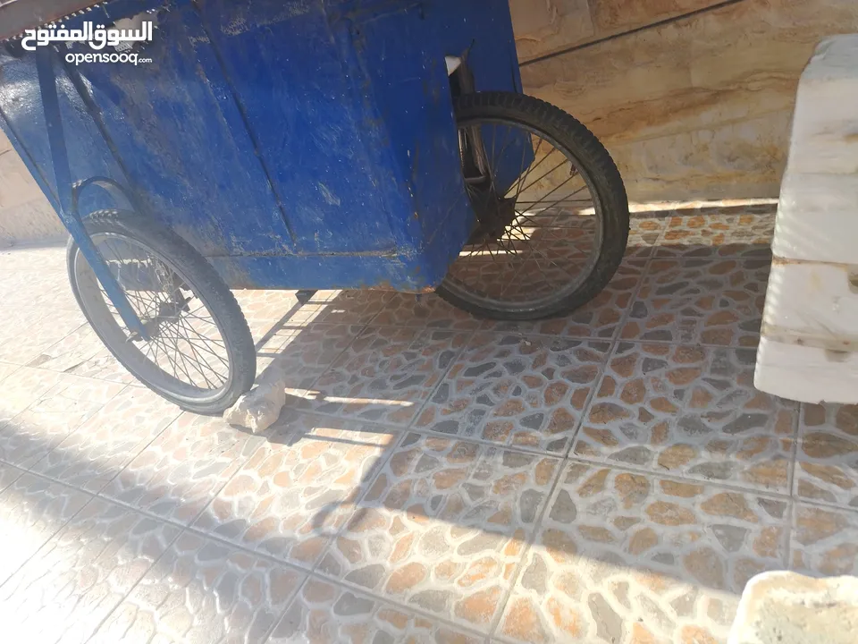 عرباي 3 عجال كوشوك للبيع نخب