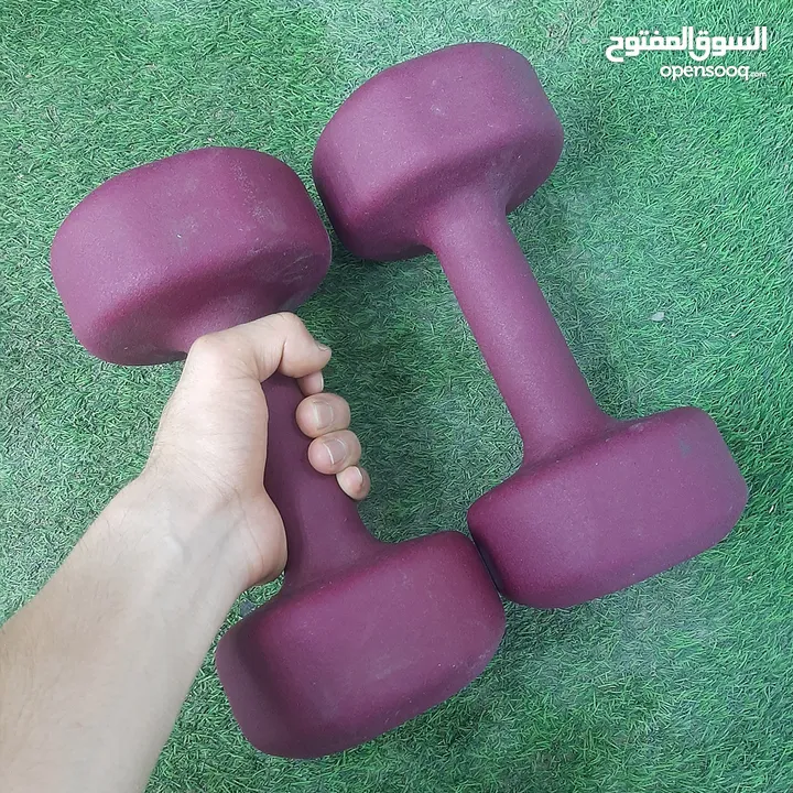 Dumbbell weights (proiron), 2 pieces