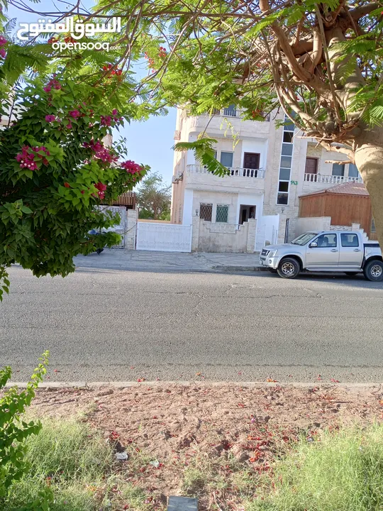 شقة أرضية شارع الكويتي الرئيسي للبيع