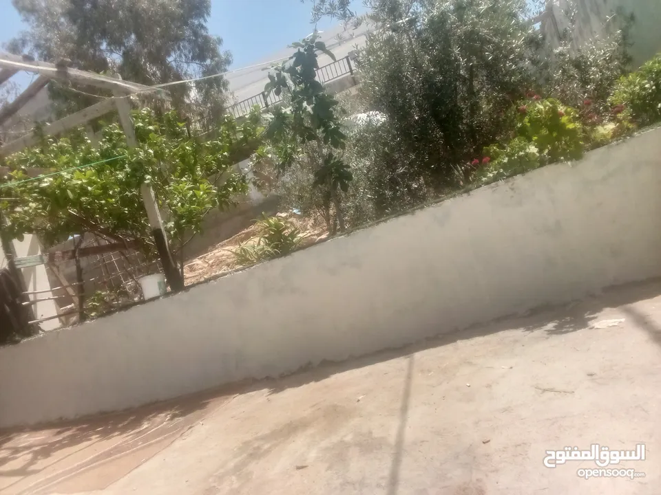 ارض +منزل وارض مزروعه اكثر من نوع شجر ونبات فيها منزلين وكراج سياره مع البيت ايضا وع شارع للبيع كامل