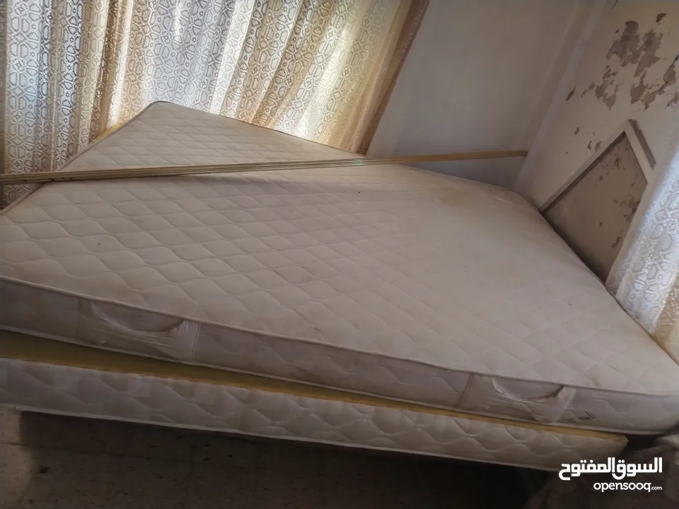 فرشاة زنبرك طبيه جميع الأحجام كمية محدوده من كل حجم أسعار