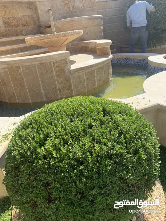 فني تنسيق حدائق