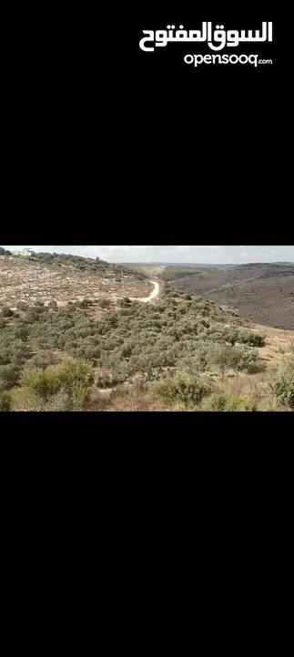 ارض في كفر راعي مساحه 117دونم
