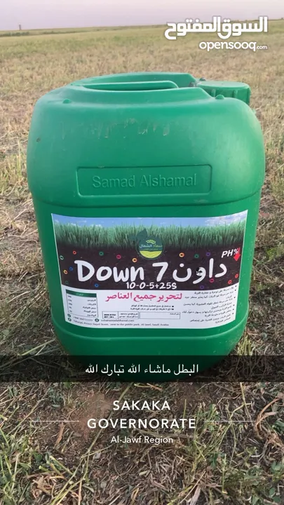 داون سفن مصنع سماد الشمال