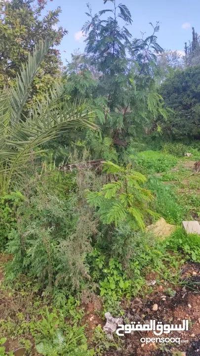 بيت للبيع في وسط ارتاح .