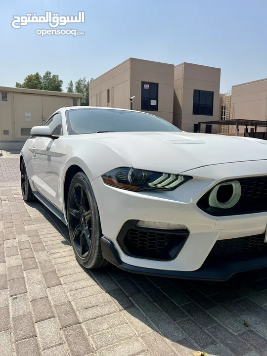 FORD MUSTANG ECOBOOST MANUAL TRANSMISSION