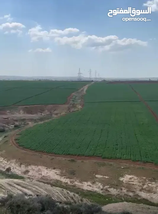 أرض مفروزه بقوشان مستقل من المالك مباشره