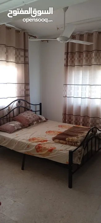 شقه مفروشه