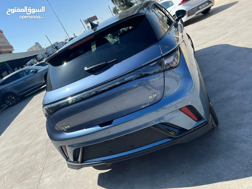 Byd bolphin knight