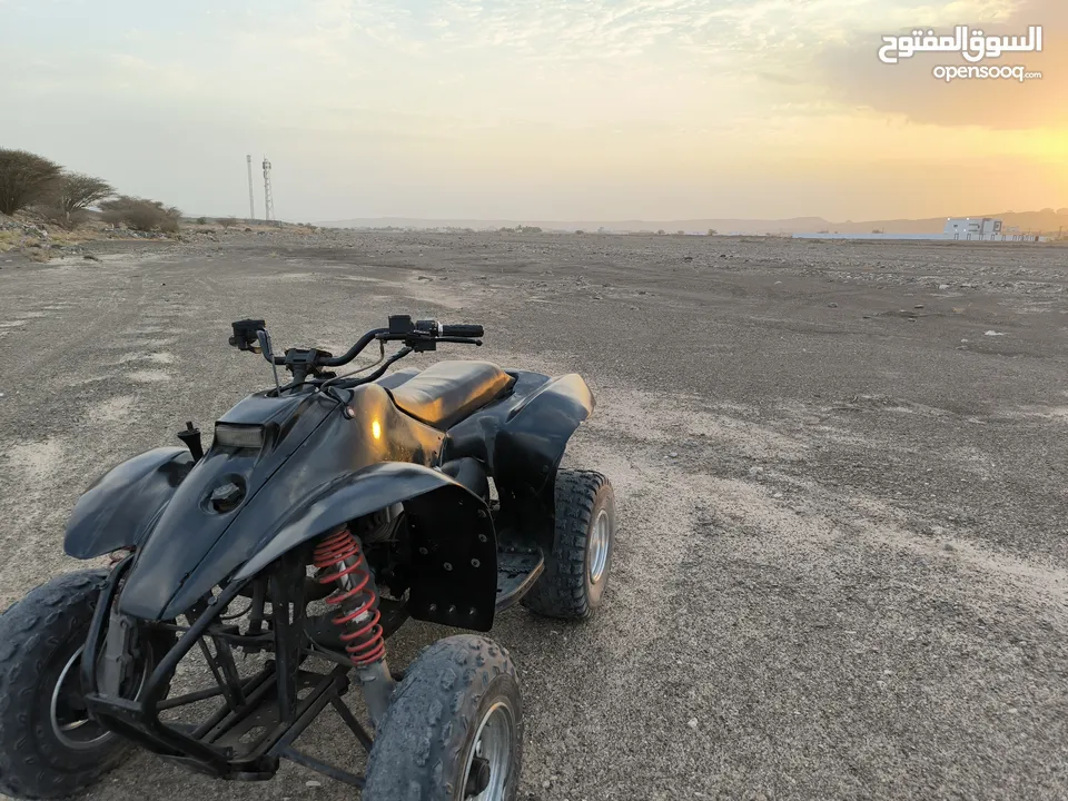 امريكي 250 cc