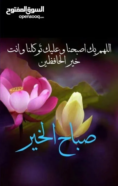 شور بكس مستعمل بسعر مغري