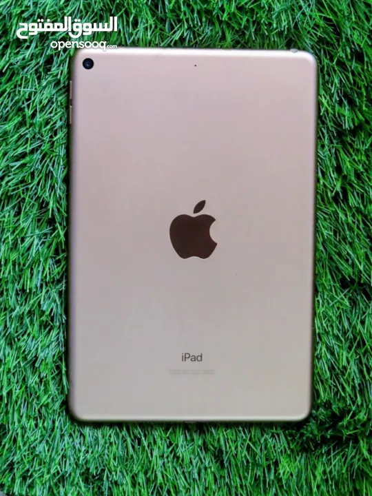 ipad mini 5