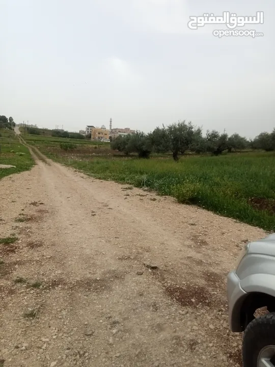 ارض سكنيه قرب مثلث حور فوعرا للبيع بسعر مغري