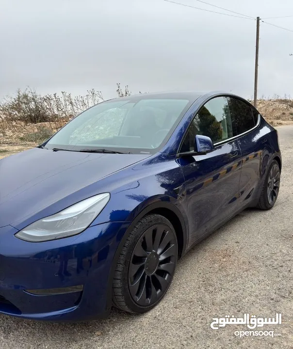 تيسلا y ‏ Dual Motor Performance tesla 2022
