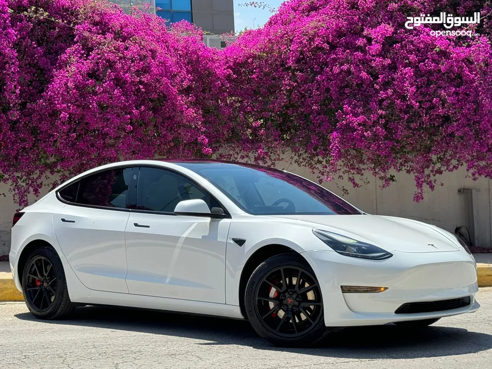 Tesla Model 3 Standerd Plus 2021 تيسلا فحص كامل بسعر مغررري جددا