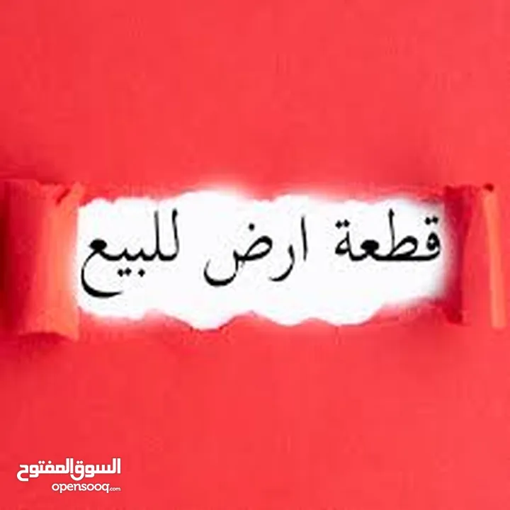 ارض بيت جالا السدر