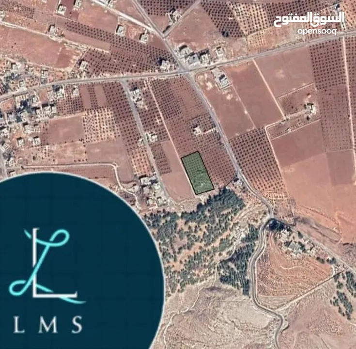 قطعة ارض من اراضي مرصع سلحوب حي عذمة بجانب غابة الحراج مطلة مشجرة مسيجة يوجد بئر ماء زراعي تجميعي