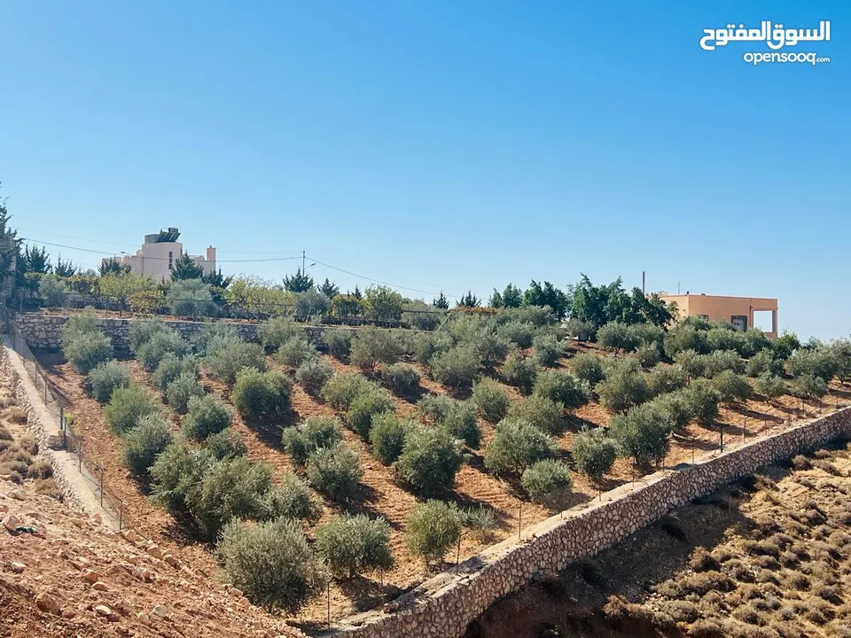 مزرعه مميزة جدا مع بيت ريفي ذات إطلالة غربيه على جبال فلسطين